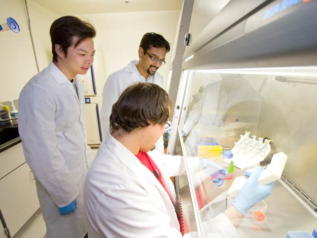 Students play role in research to advance health, public safety