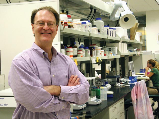 Our research: Sustainability