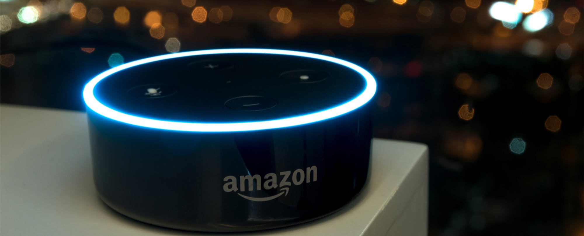 Tooker House Echo Dots
