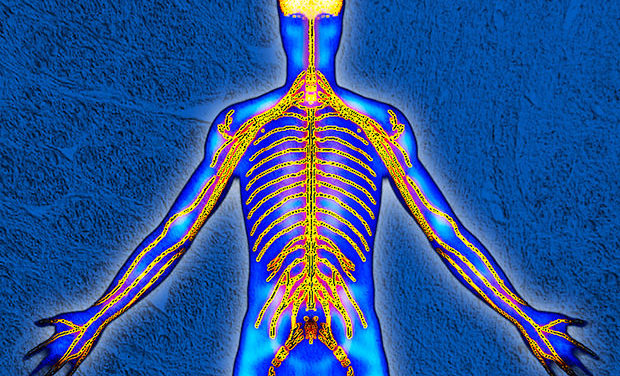 DARPA TO USE ELECTRICAL STIMULATION TO ENHANCE MILITARY TRAINING