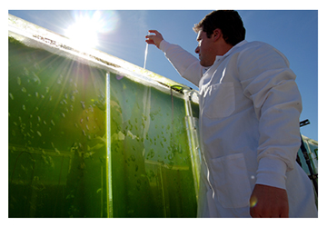 PAKISTAN’S ENERGY SECTOR FORGING ALLIANCES FOR RESEARCH AND TECHNOLOGY