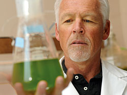 ASU receives U.S. Department of Energy award for algae biofuel research