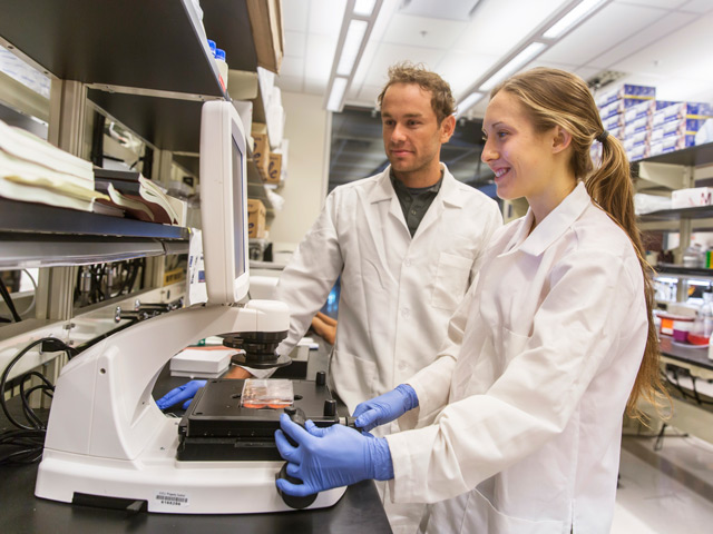 Bench to bedside: Self-replicating cells help study, treat neuro disorders