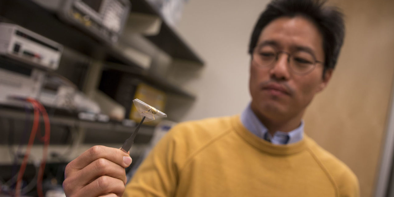 Safety first: A human-centered approach to brain implant design