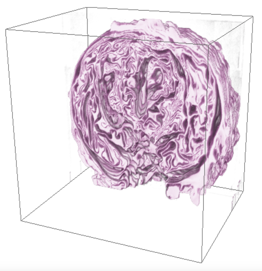 3D Reconstruction of red cabbage.