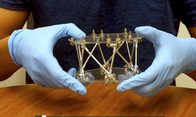 Designing a structure for the future, guided by the past