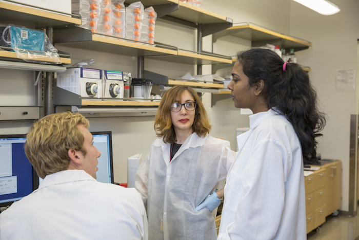 Scientists engage public on human augmentation