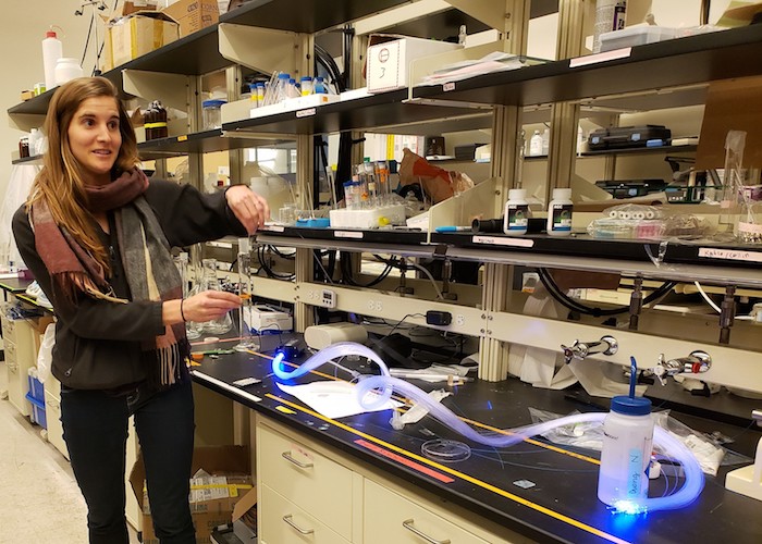 Illuminating Water Contamination