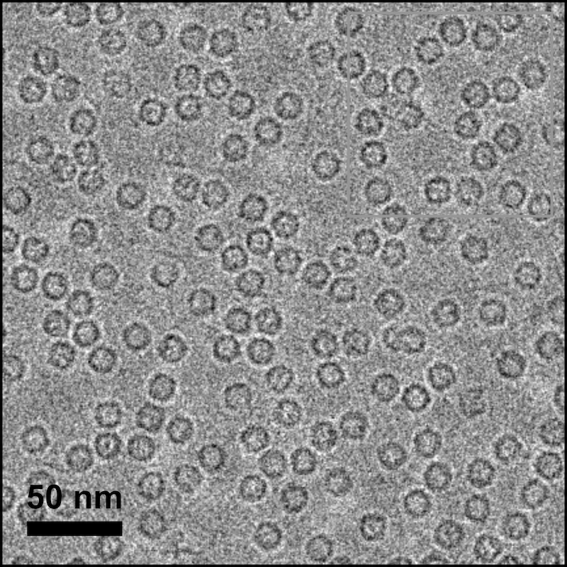 magnified look of spherical objects