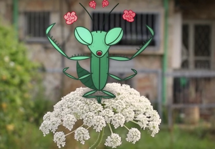 Inside the hive’s mind