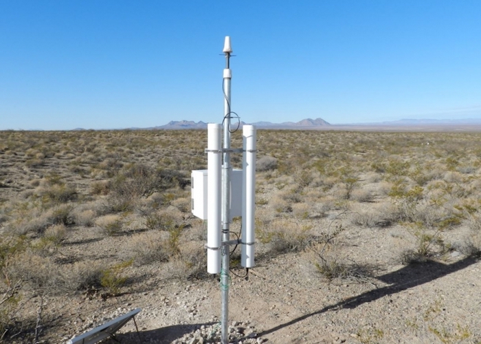 Vegetation shifts can outweigh climate change in desert rangelands