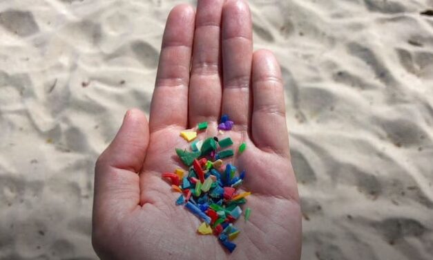 MANY HUMAN ORGANS ARE VULNERABLE TO MICROPLASTICS IN THE ENVIRONMENT, NEW STUDY DEMONSTRATES