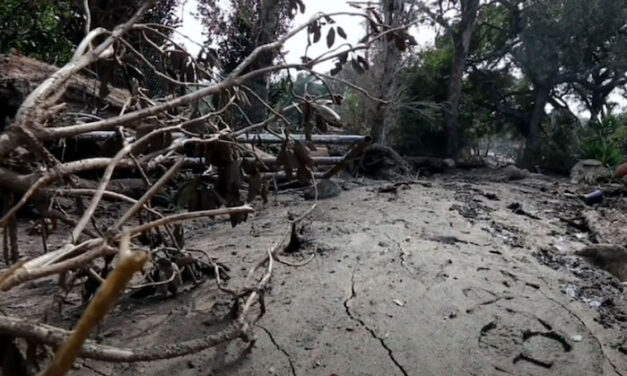 Coping with fire-scorched land more prone to mudslides