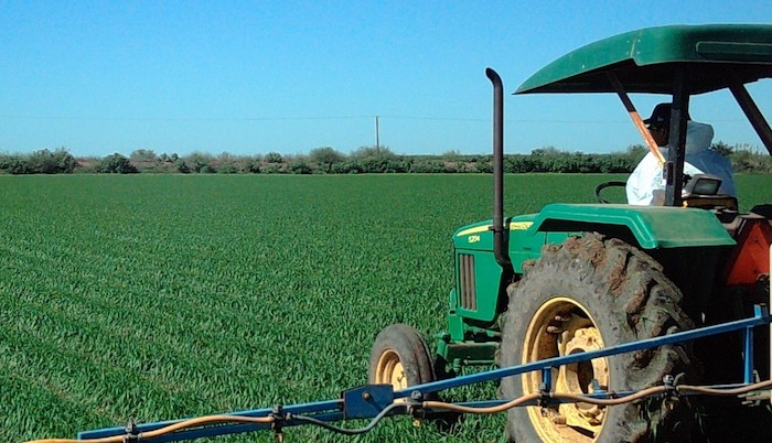 ASU Graduate College announces Mexico-US binational award to research sustainable agriculture in Sonora, Arizona