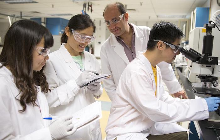 ASU Researchers Making Quantum Leaps In Materials Engineering