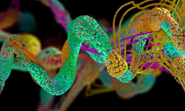 A new approach has been created to create a chain of artificial genes according to the principle of “winner takes all”