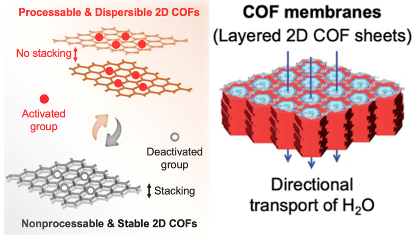 graphics depicting COF membranes