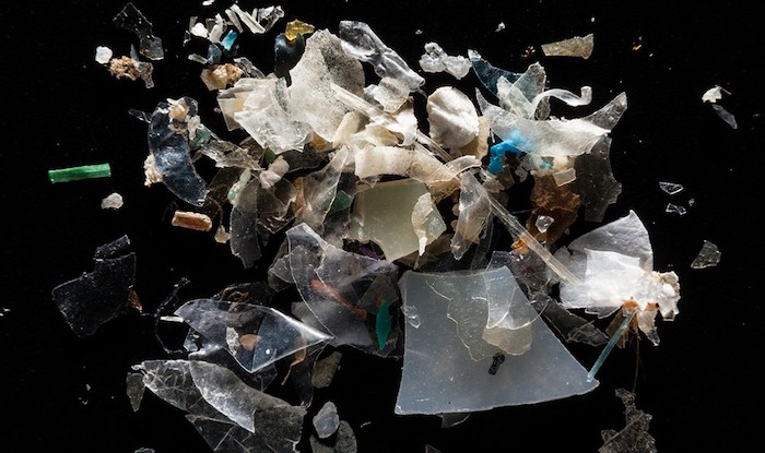 Microplastics are everywhere — but are they harmful?