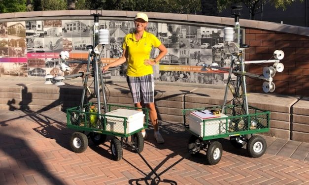 Do trees provide the best shade for urban environments?