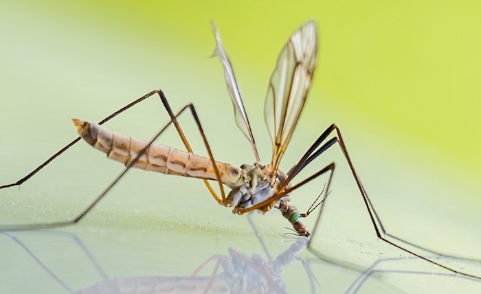 ASU receives 16 NSF CAREER awards