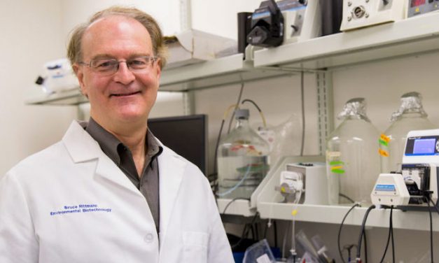 Regents Professor Bruce Rittmann honored with WEF research award