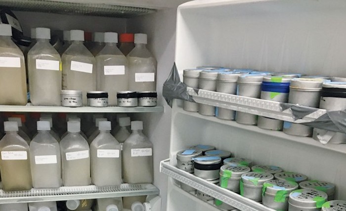 Quat disinfectants are helping during the pandemic. But could they contribute to antibiotic resistance?