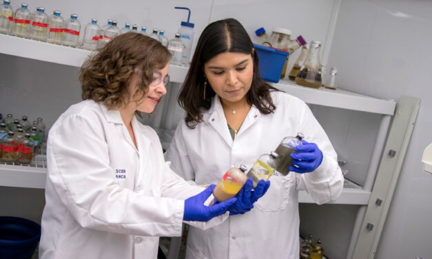 Bio-based process promises better contaminant cleanup