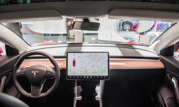 What Can We Really Expect From Elon Musk’s Tesla Robot?
