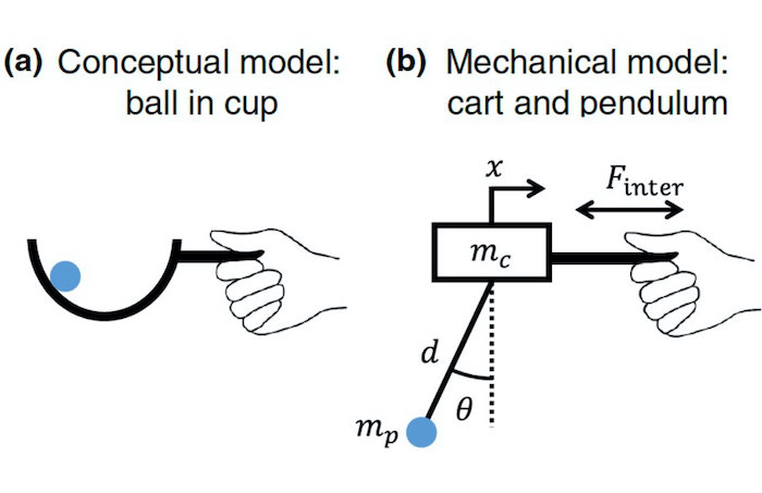 Walking with coffee is a little-understood feat of physics