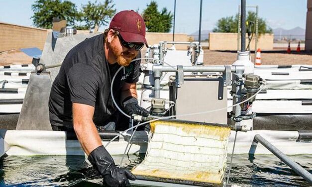 Researchers repurpose wastewater treatment greenhouse gases to grow algae, make useful products