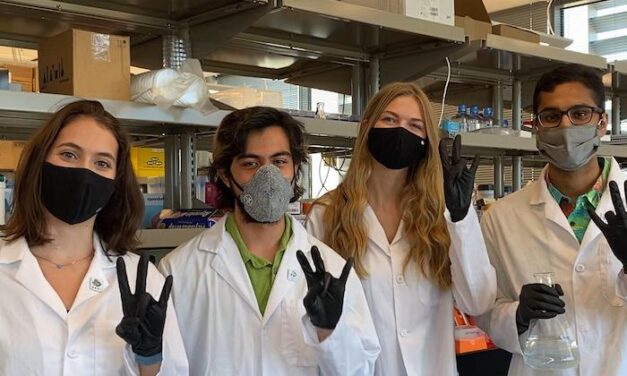 ASU students win gold medal for making arsenic-absorbing algae