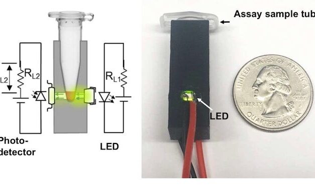 Scientists want to stop the next pandemic before it starts. Here are the tests they’re building to do it