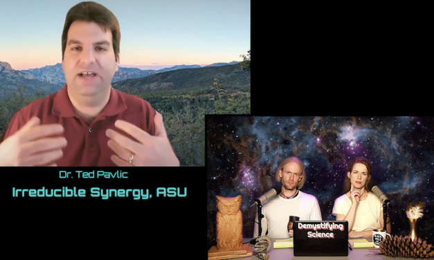 How Computers See Entangled Nature