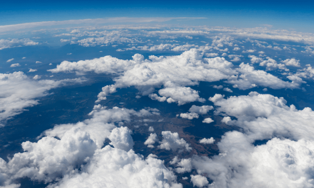 Climate activism at The College