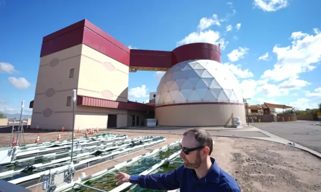 Algae could help fuel the future. But it’s not easy being ‘green’