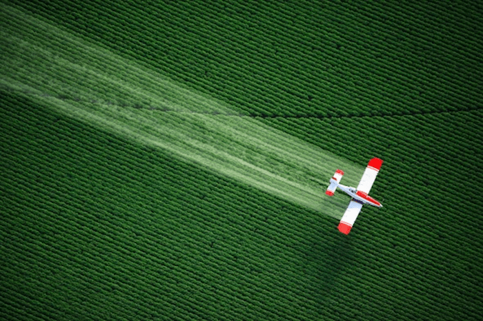 Pesticides Are Spreading Toxic ‘Forever Chemicals,’ Scientists Warn