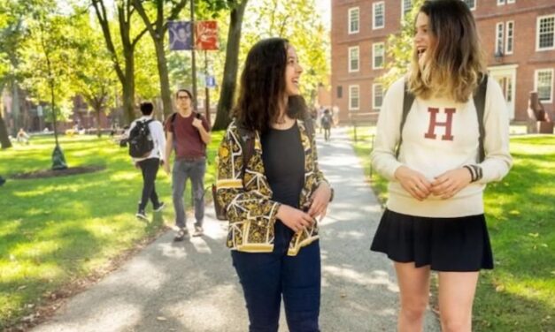 Top 10 US colleges offering a Master’s in Sustainability
