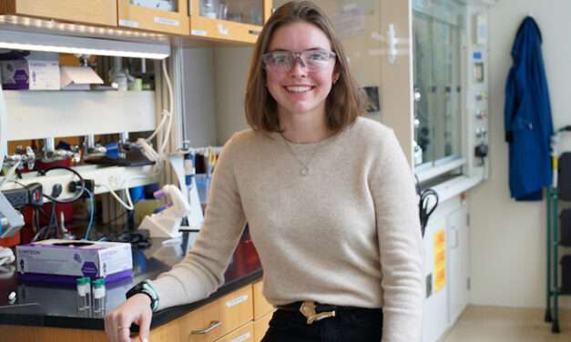 Rescuing small plastics from the waste stream