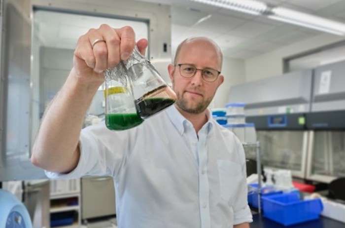 Modifying algae to make rare antioxidants in extreme environments