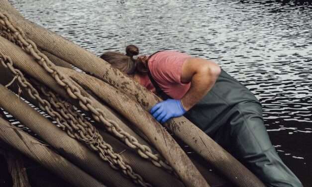 America Is Wrapped In Miles Of Toxic Lead Cables