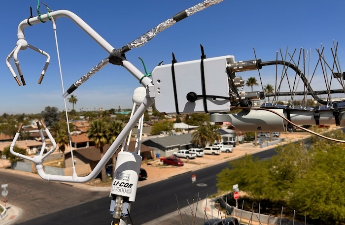 Tackling Phoenix’s ozone problem with natural emission research