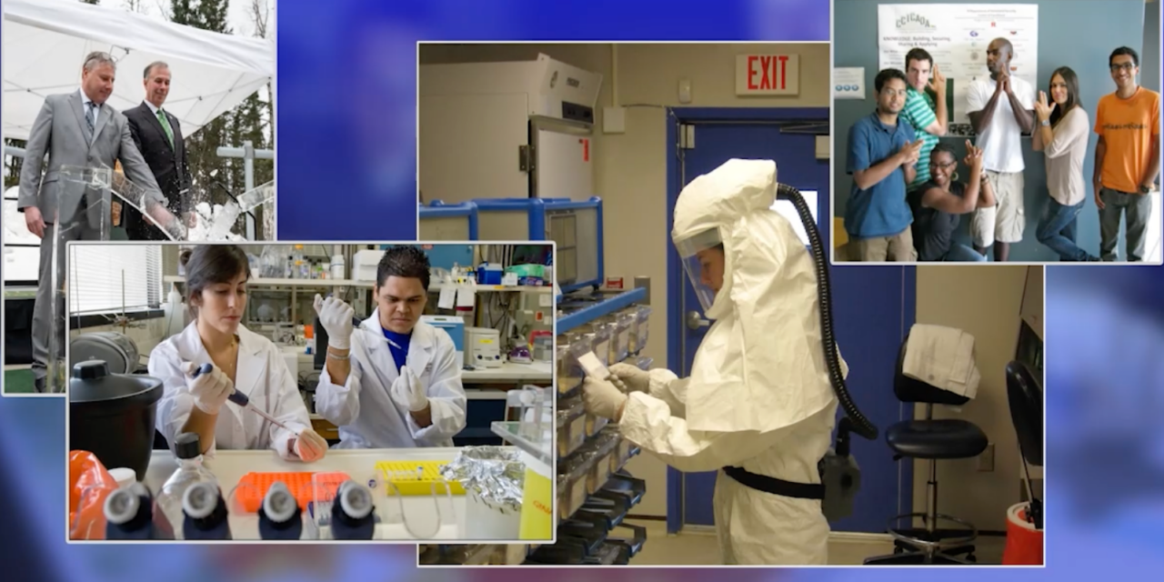 20 Years of Academic Excellence