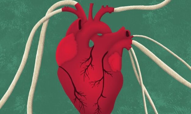 ASU Researchers 3D Print Flower-Inspired Blood Vessels For Medical Use