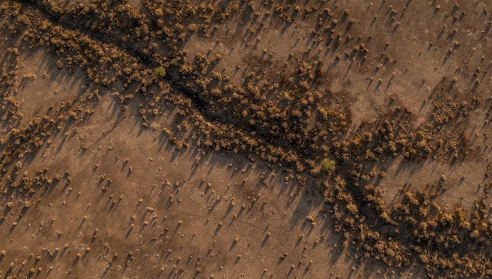 Phoenix is slowly sinking, study finds