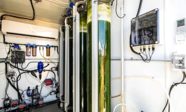 New algae system helps Arizona farmers grow better crops with less water