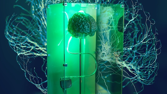 I Visited a Secret Brain Implant Company and Got a Glimpse of Our Cyborg Future