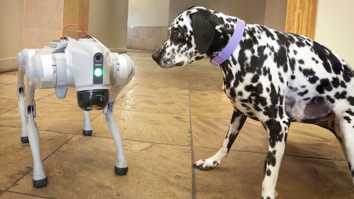 ASU’s Four-legged AI Robodog Champions a Caring Robotics Future