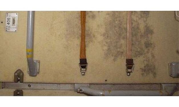 Stopping Slime on Earth and in Space