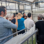 Algae-powered innovation