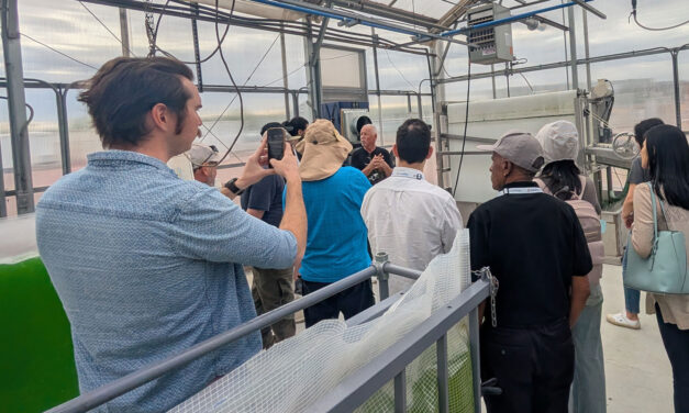 Algae-powered innovation